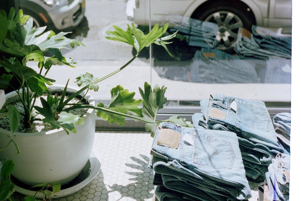 Stacks of folded light-wash jeans by a shop window next to a potted plant